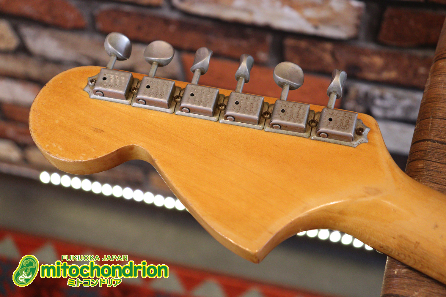 ラージヘッドのストラトキャスター！