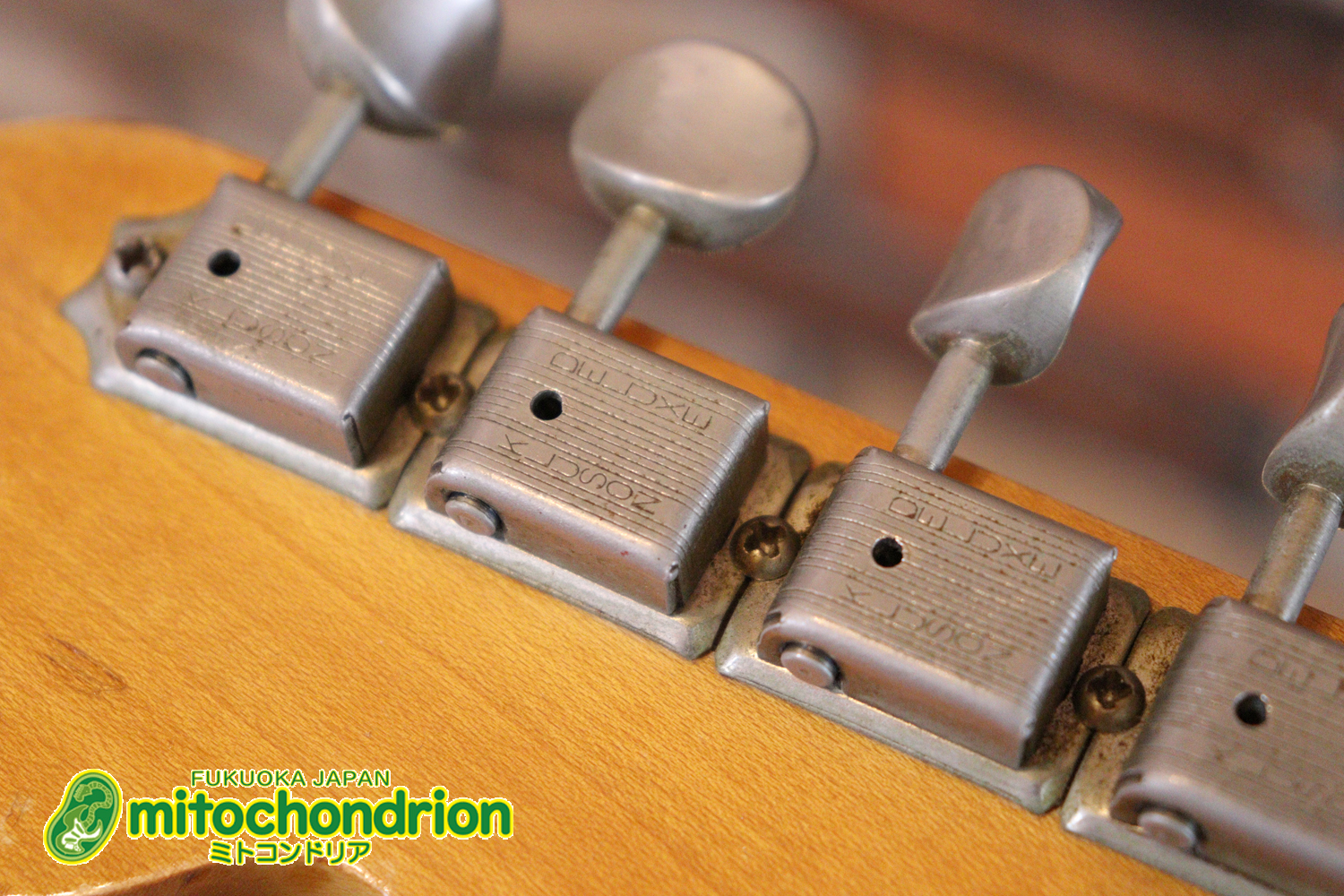 ラージヘッドのストラトキャスター！