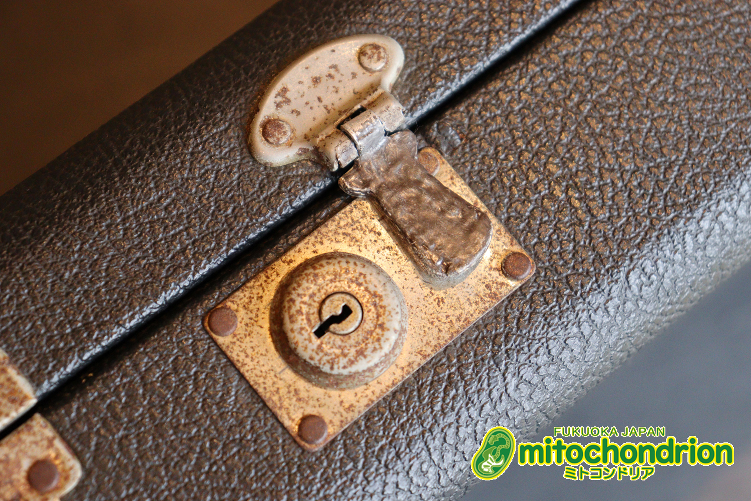 ラージヘッドのストラトキャスター！