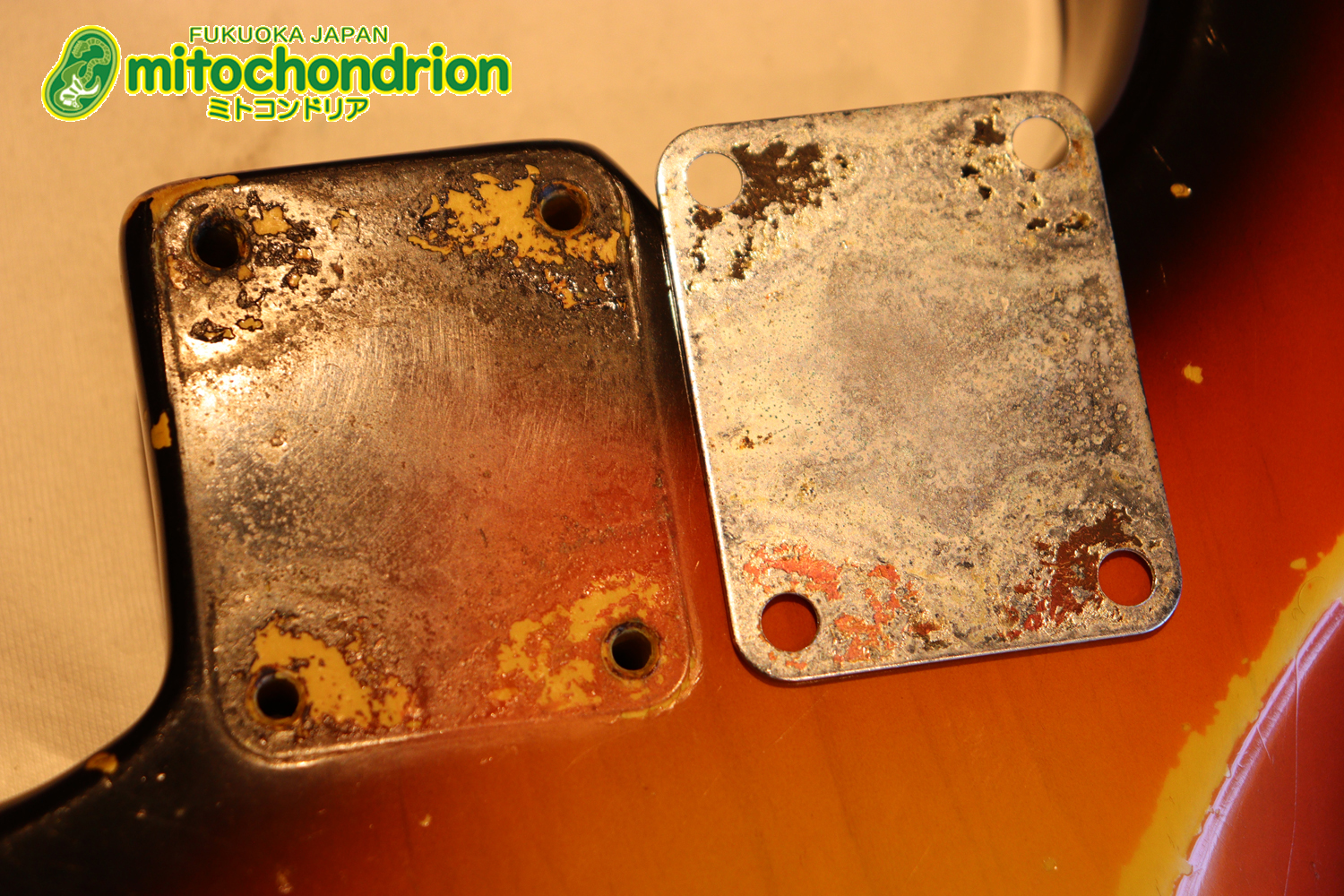 ラージヘッドのストラトキャスター！