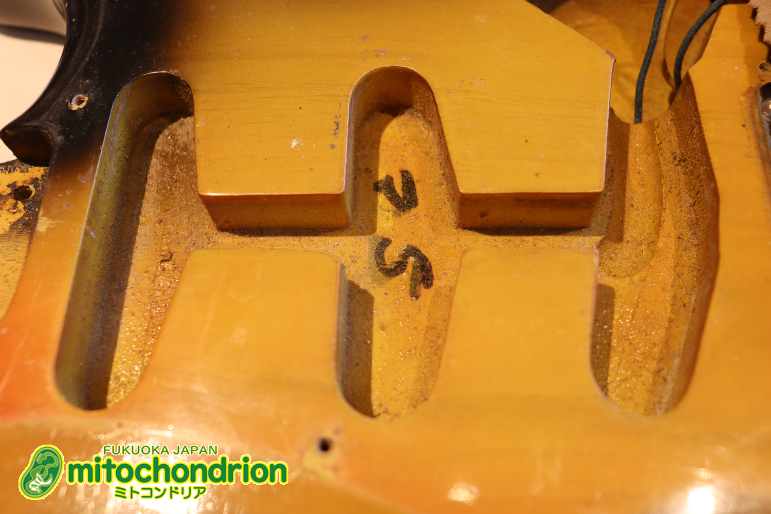 ラージヘッドのストラトキャスター！