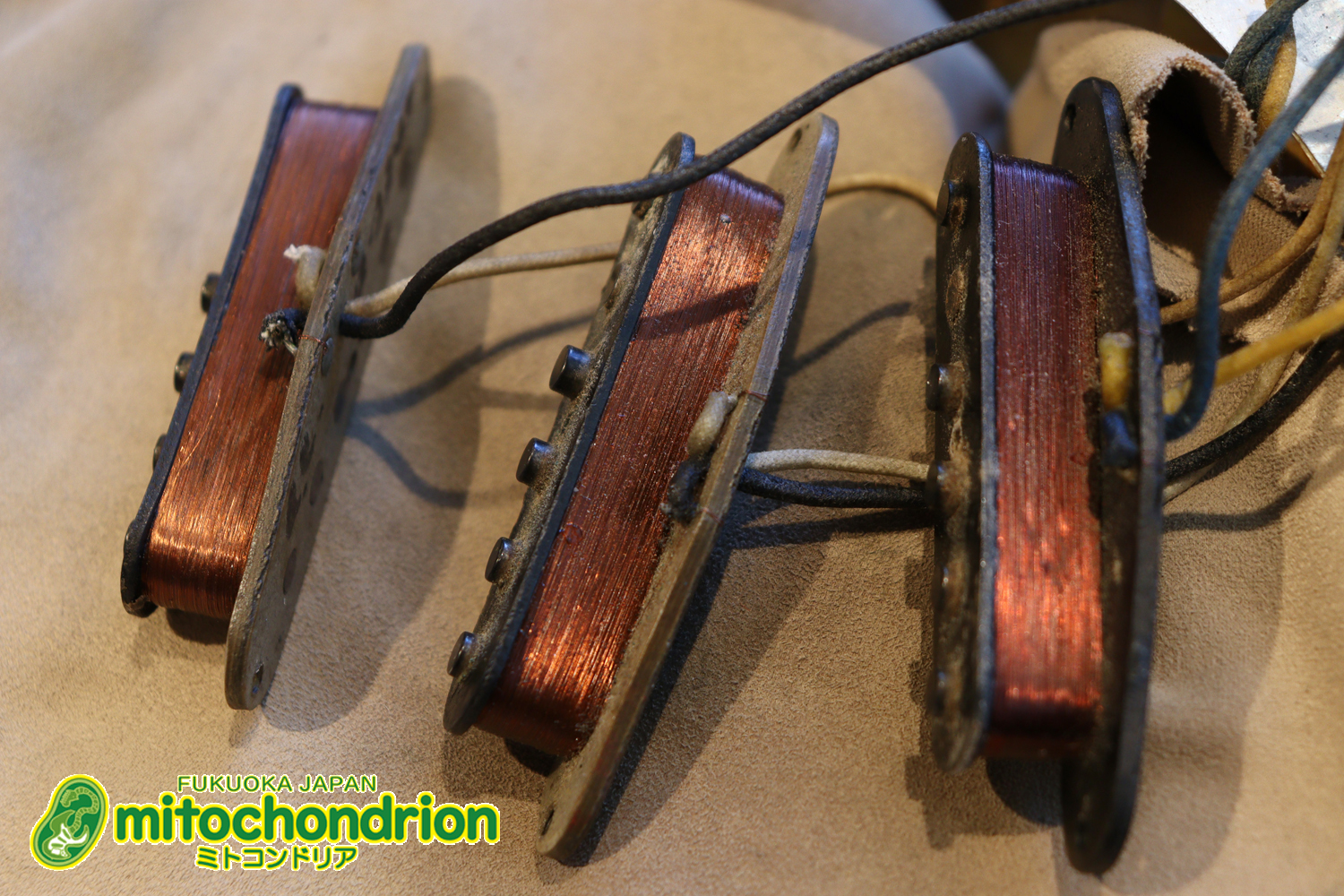 ラージヘッドのストラトキャスター！