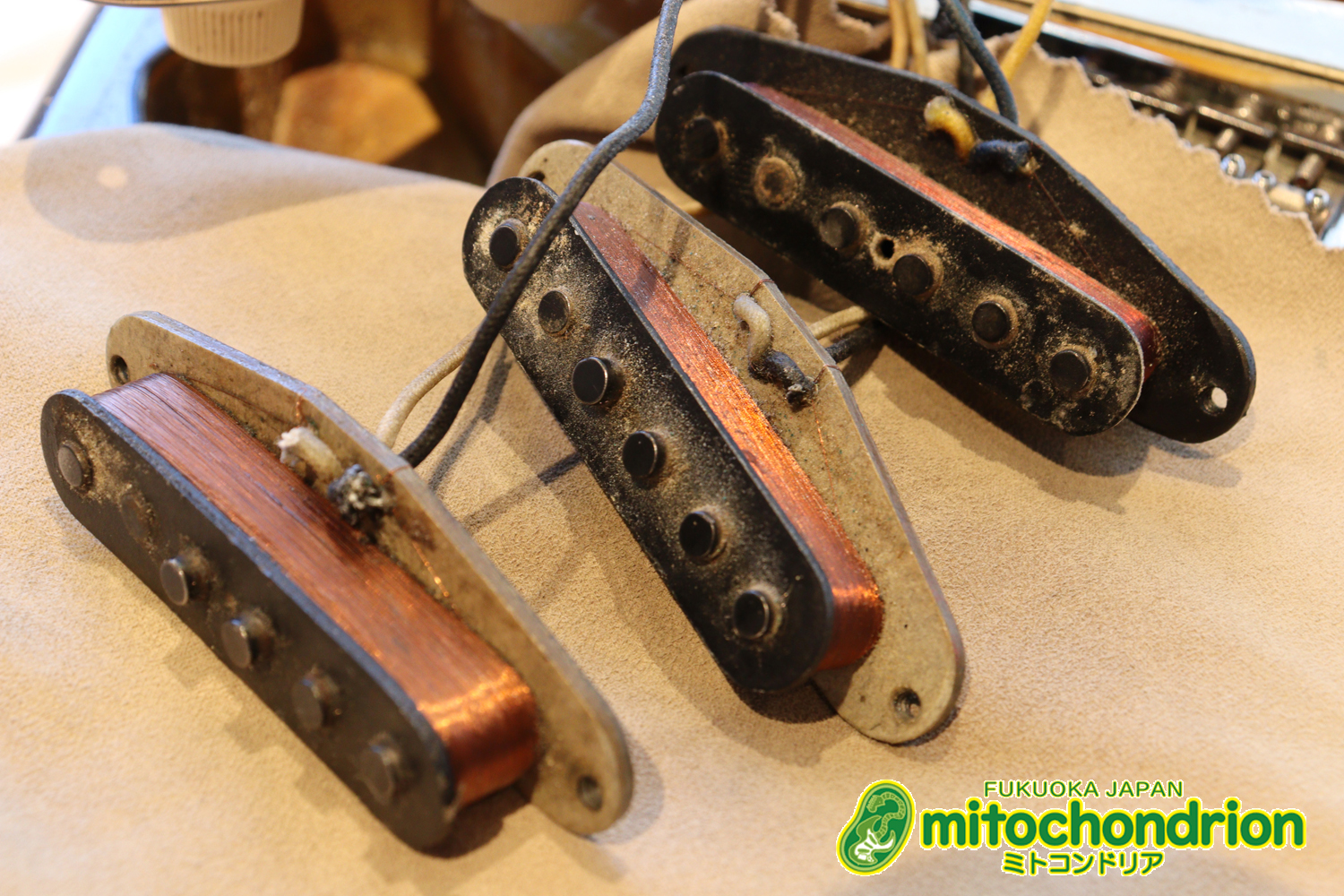 ラージヘッドのストラトキャスター！