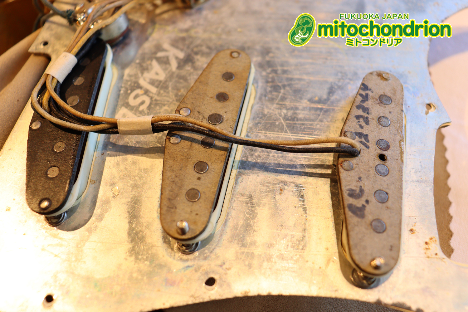 ラージヘッドのストラトキャスター！