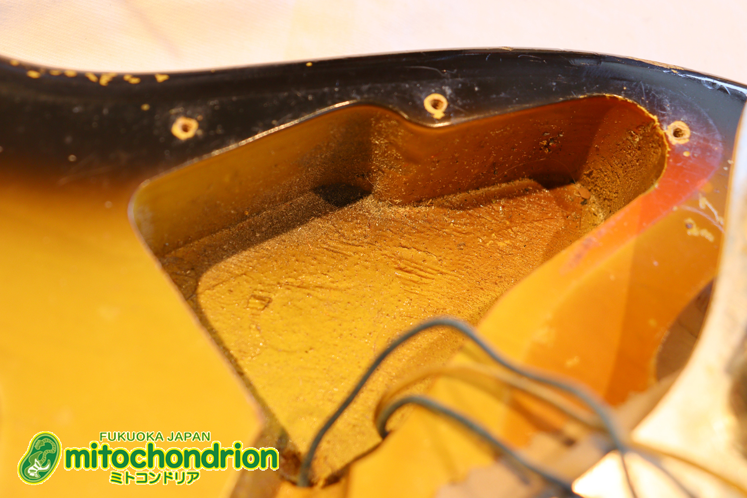 ラージヘッドのストラトキャスター！