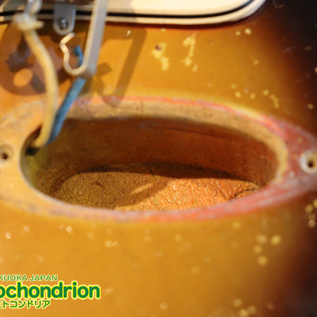 ラージヘッドのストラトキャスター！