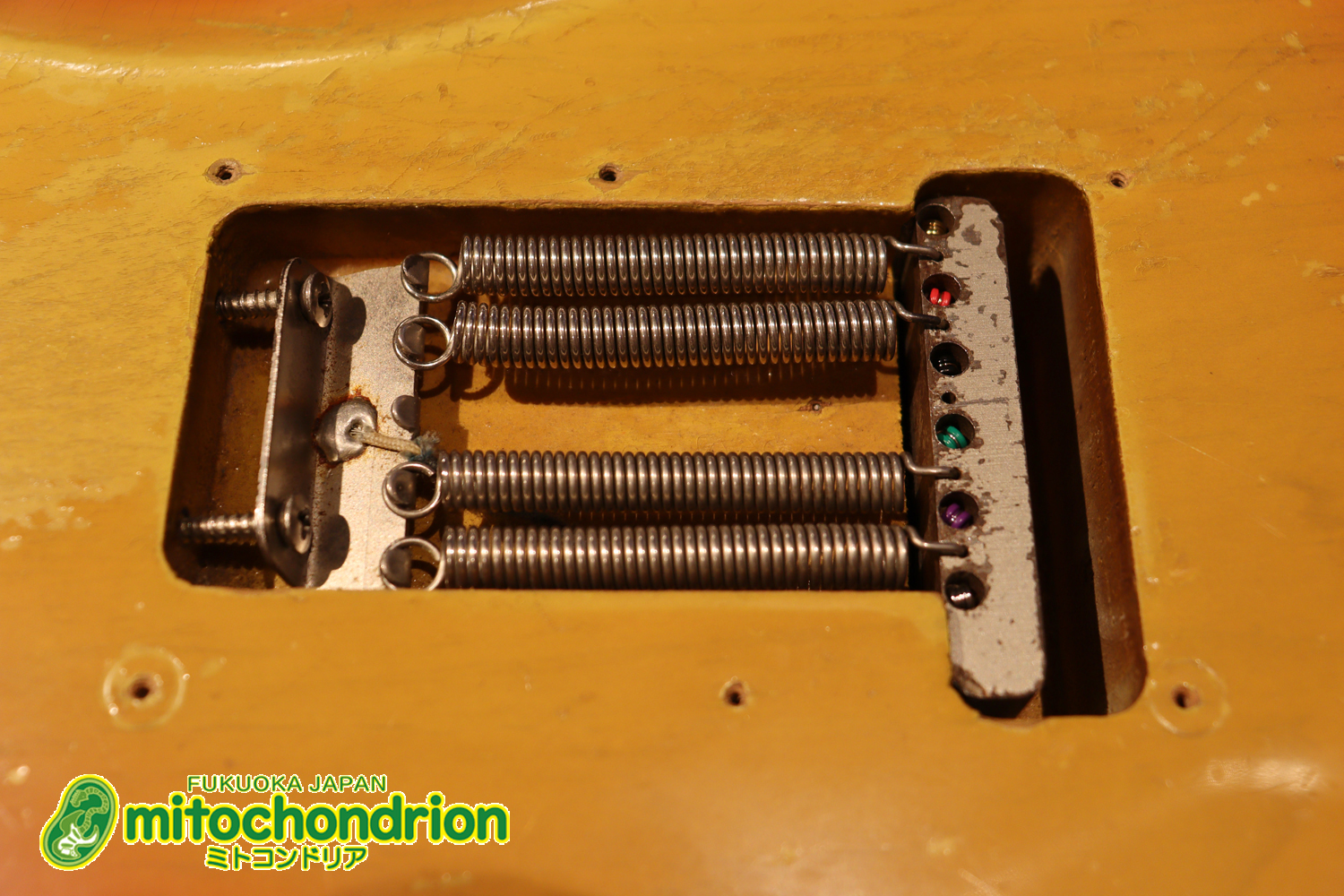 ラージヘッドのストラトキャスター！