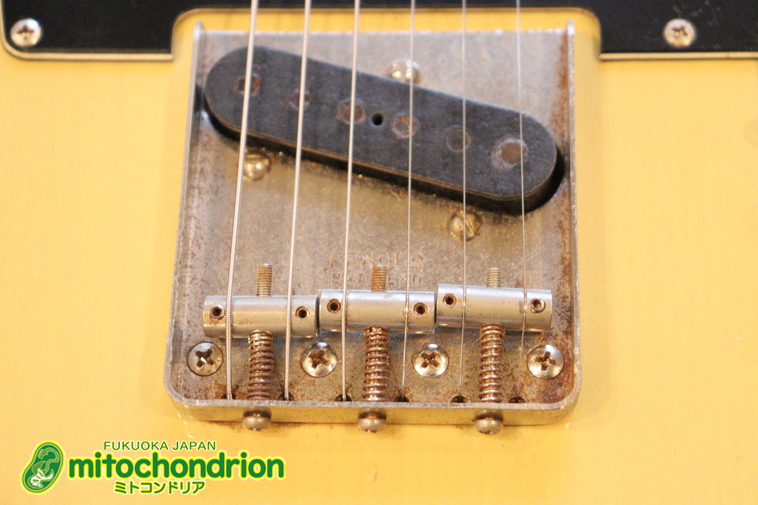 電装系など交換されていますが、風格ありのCTL！