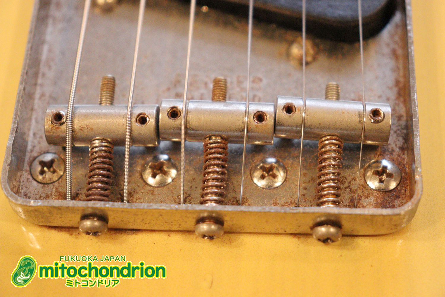 電装系など交換されていますが、風格ありのCTL！