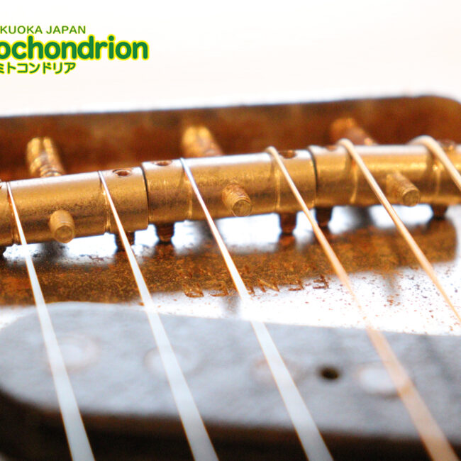 電装系など交換されていますが、風格ありのCTL！