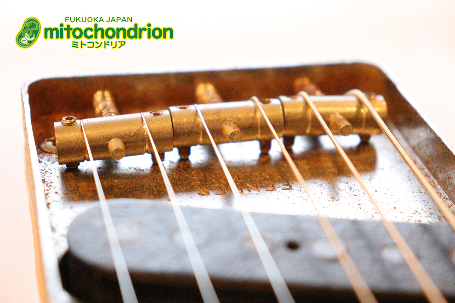 電装系など交換されていますが、風格ありのCTL！