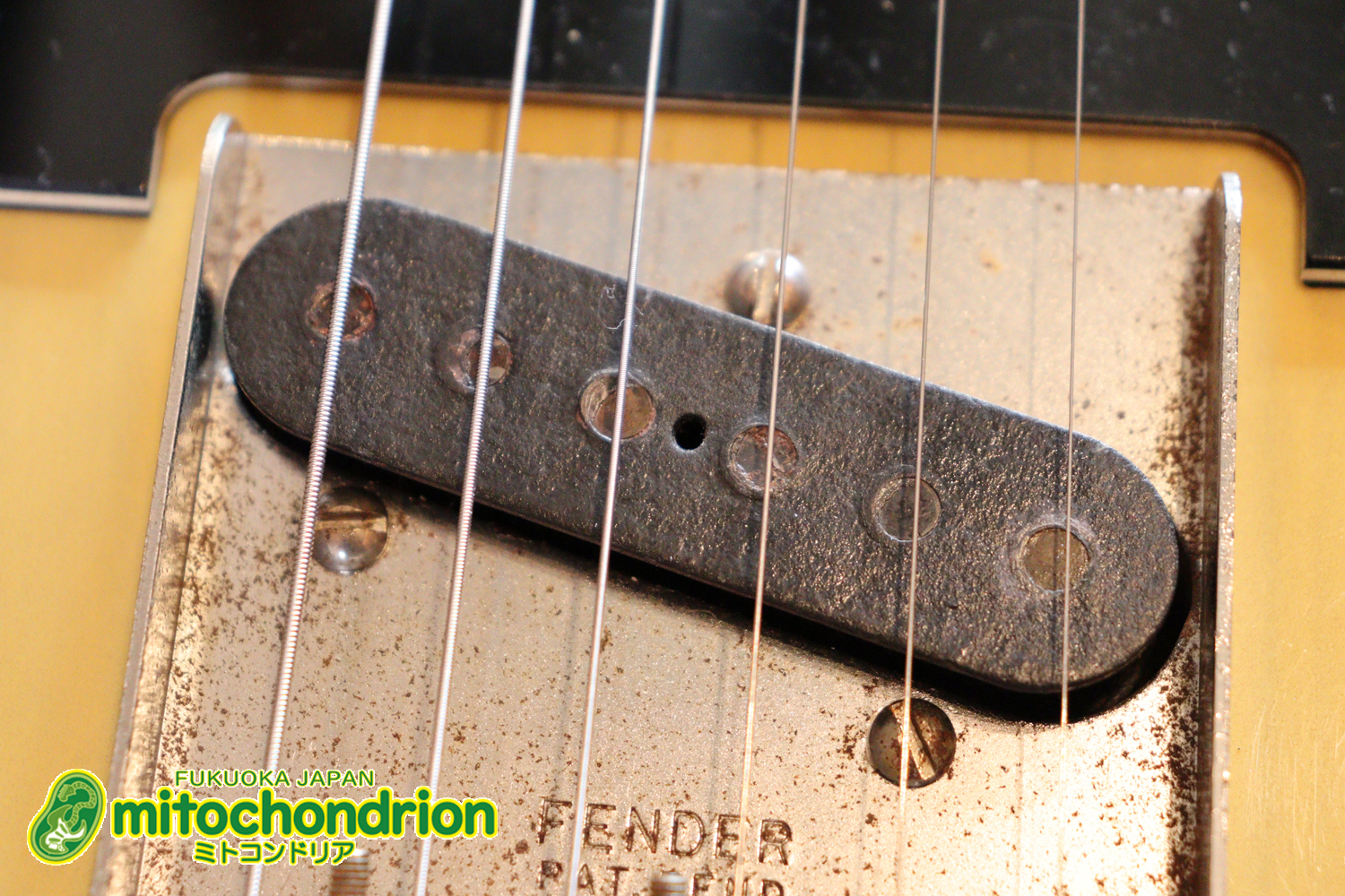 電装系など交換されていますが、風格ありのCTL！