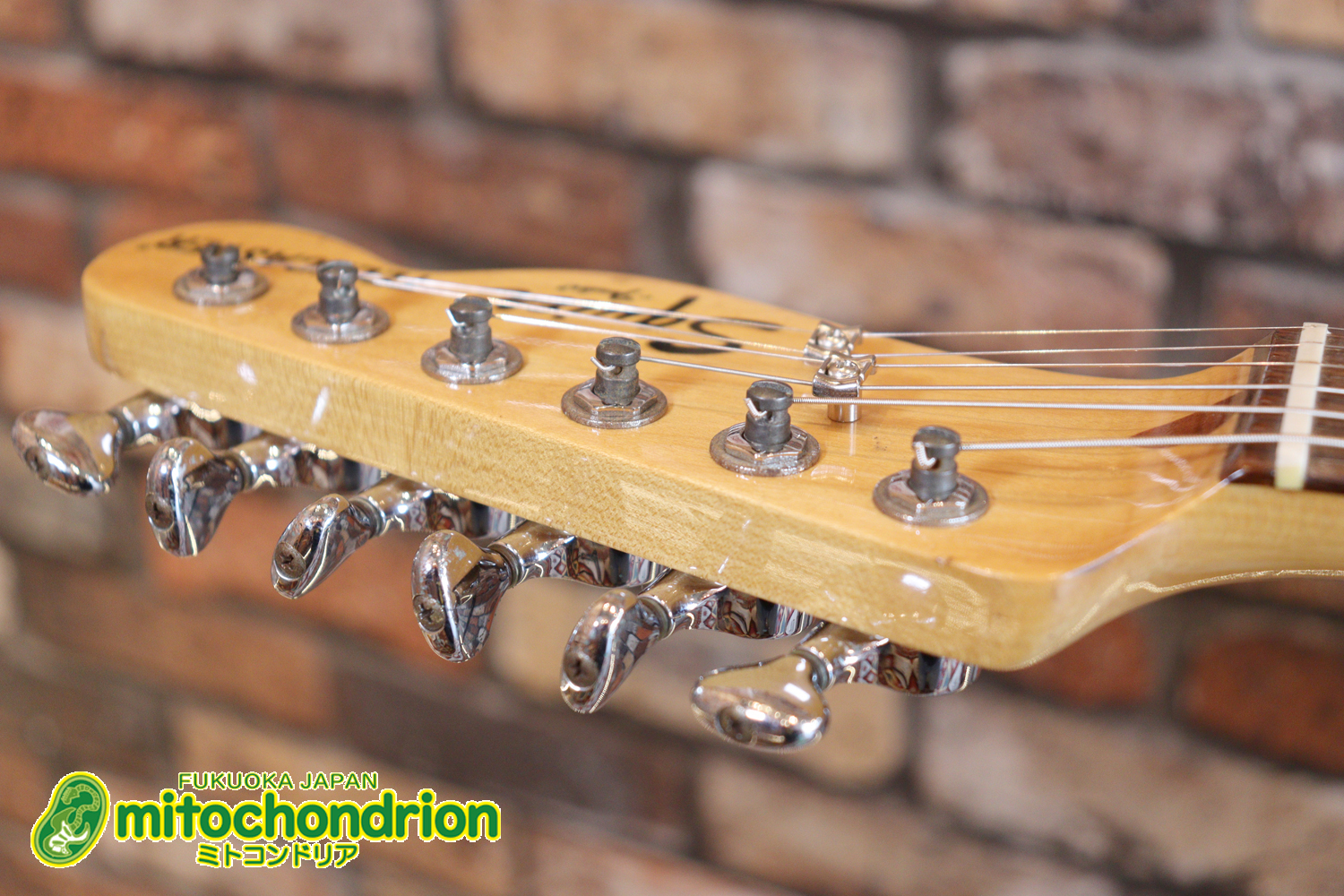 電装系など交換されていますが、風格ありのCTL！