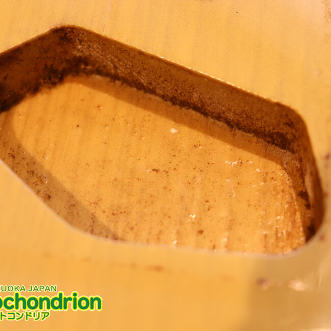 電装系など交換されていますが、風格ありのCTL！