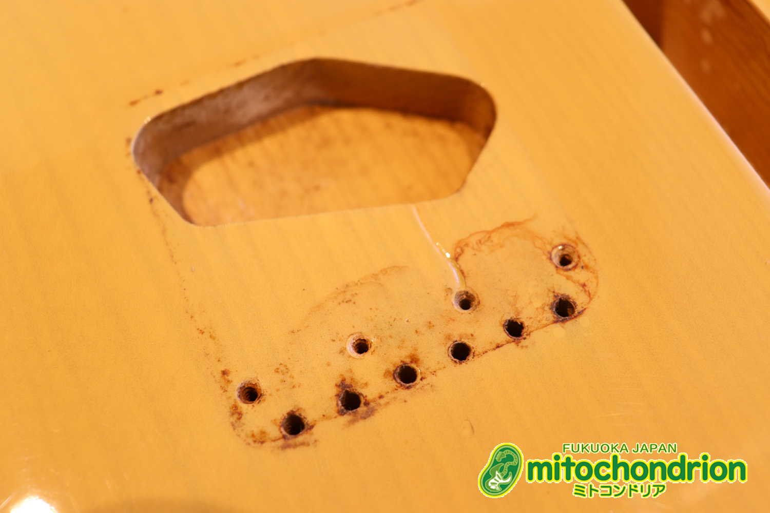 電装系など交換されていますが、風格ありのCTL！