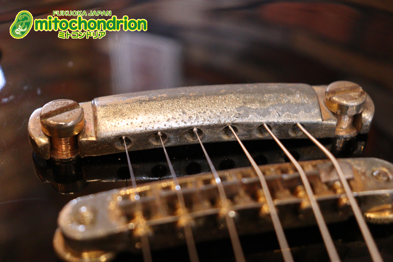 プレイヤーズコンディション、バーニーのレスポール・スタンダード、ブラック！