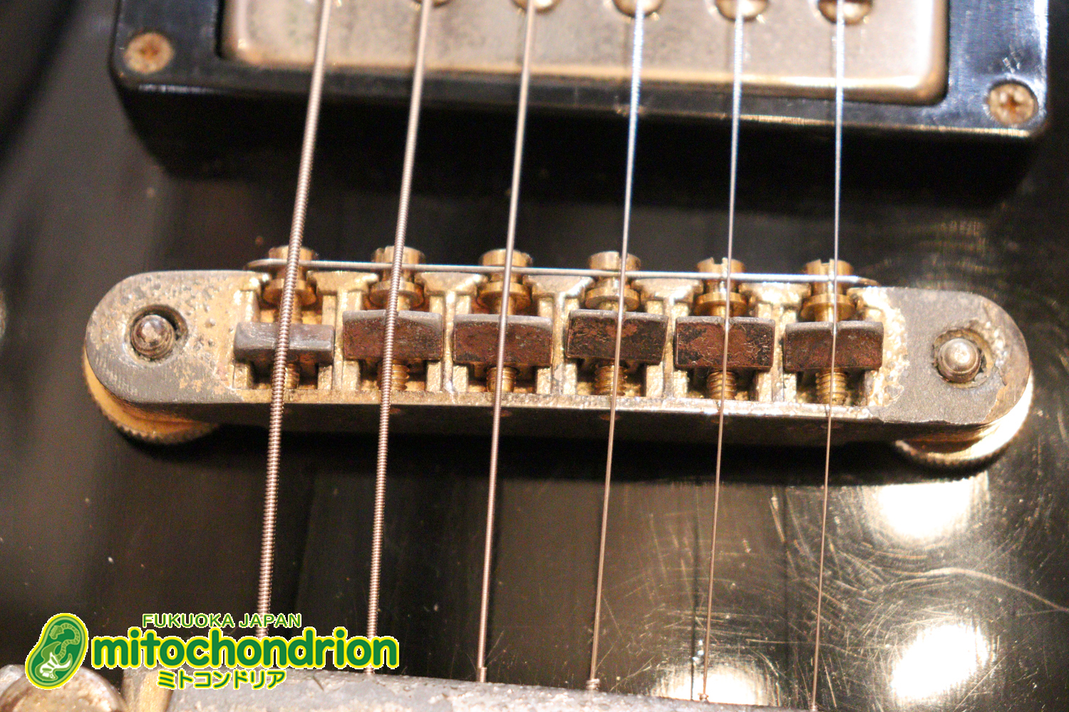 プレイヤーズコンディション、バーニーのレスポール・スタンダード、ブラック！