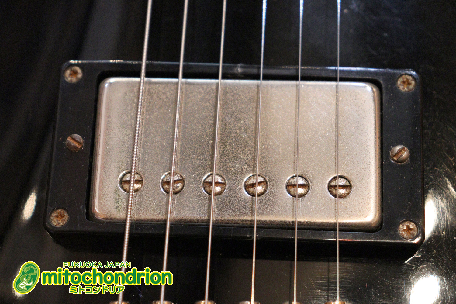 プレイヤーズコンディション、バーニーのレスポール・スタンダード、ブラック！