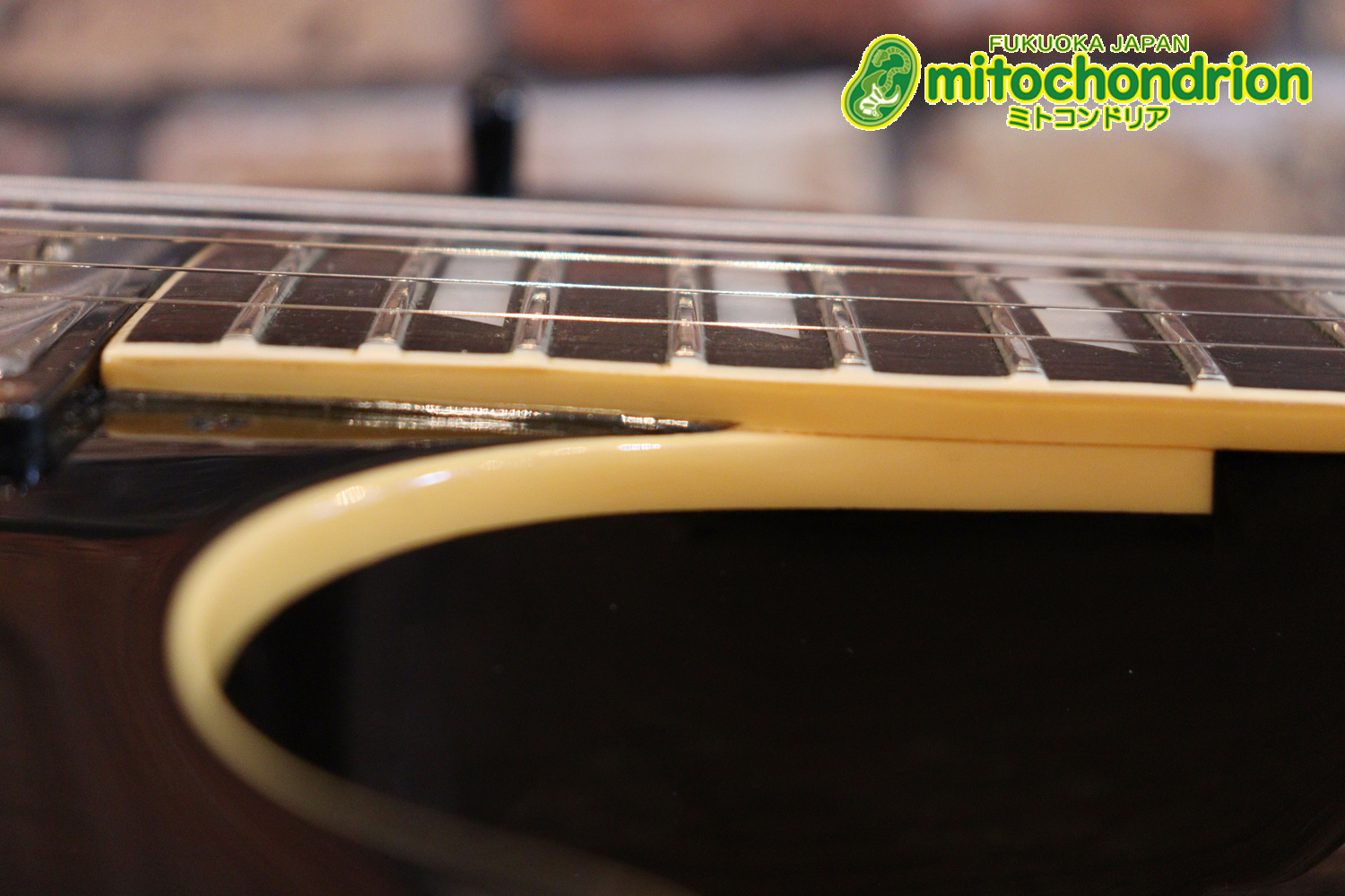 プレイヤーズコンディション、バーニーのレスポール・スタンダード、ブラック！