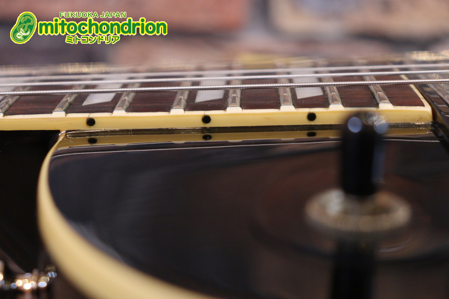 プレイヤーズコンディション、バーニーのレスポール・スタンダード、ブラック！