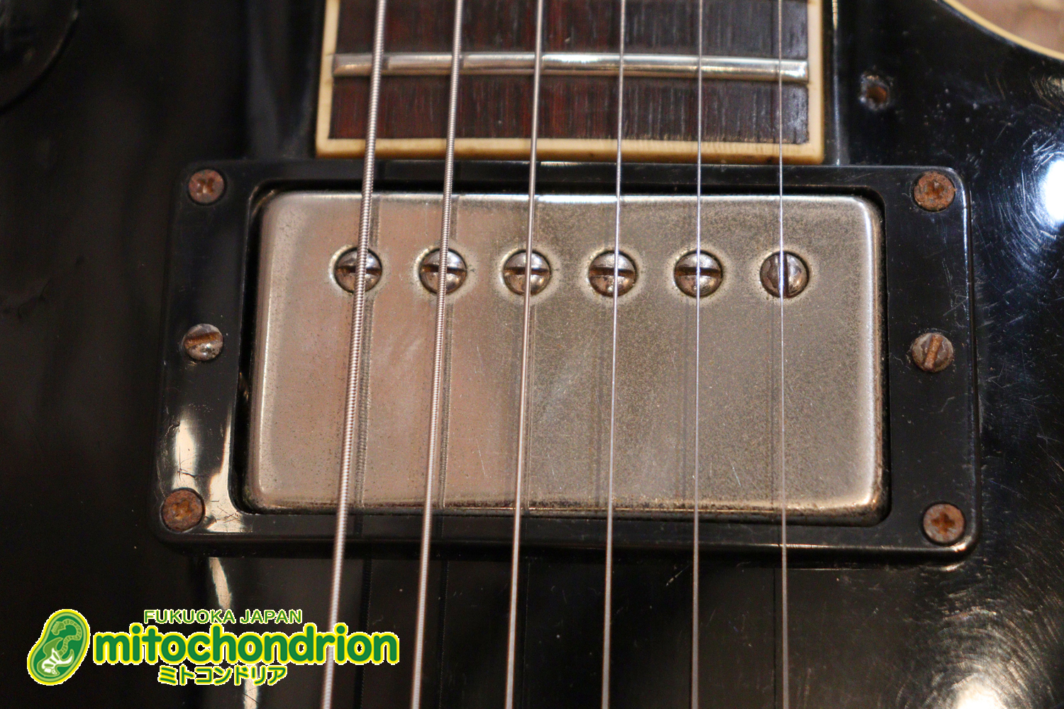 プレイヤーズコンディション、バーニーのレスポール・スタンダード、ブラック！