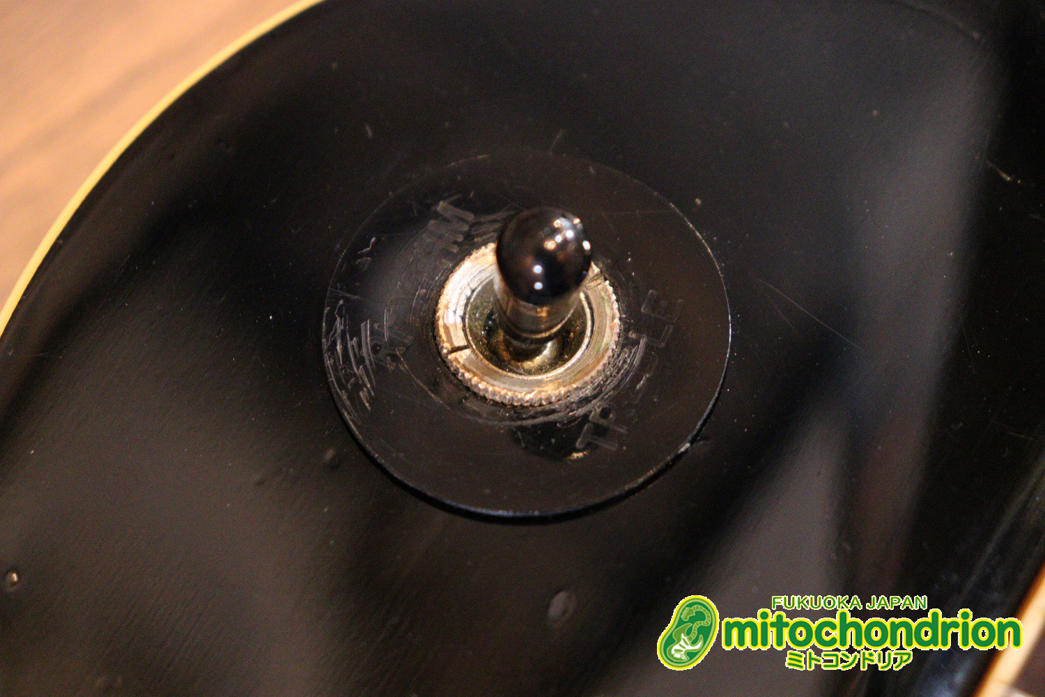 プレイヤーズコンディション、バーニーのレスポール・スタンダード、ブラック！