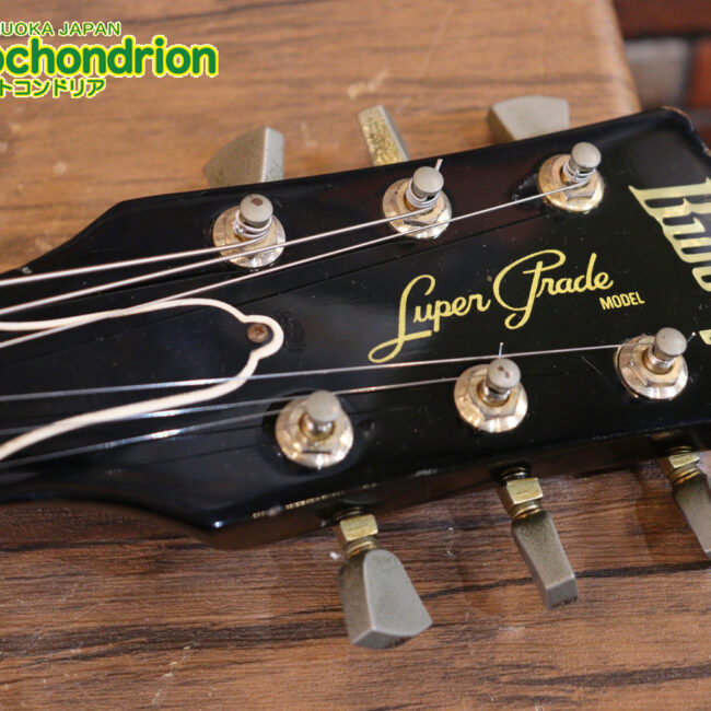 プレイヤーズコンディション、バーニーのレスポール・スタンダード、ブラック！