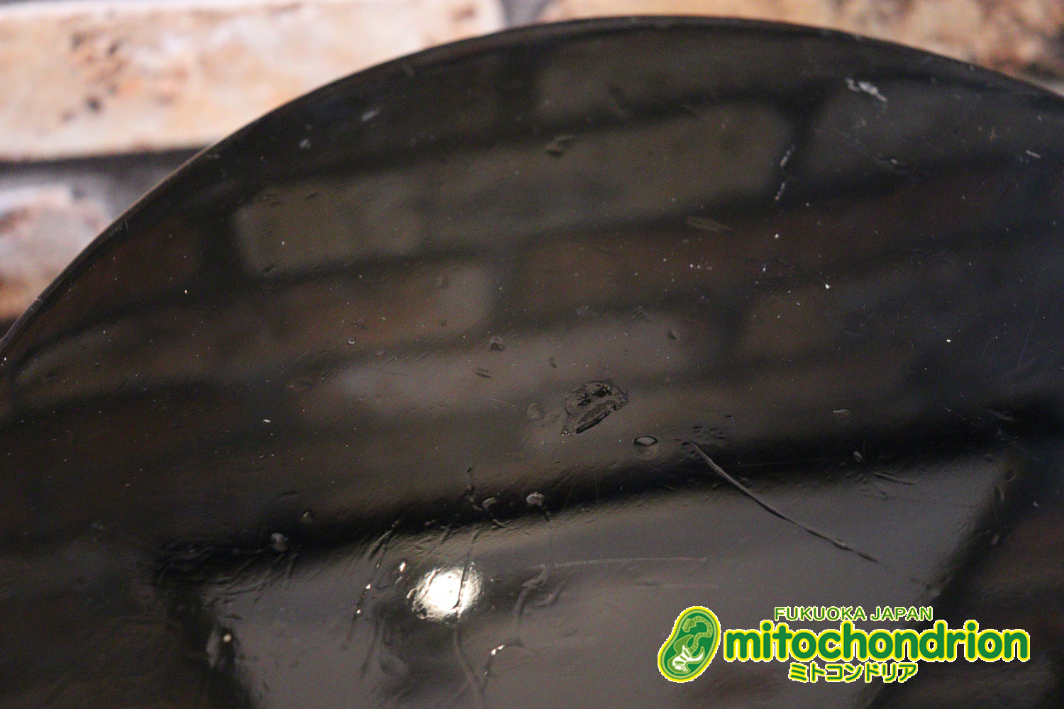 プレイヤーズコンディション、バーニーのレスポール・スタンダード、ブラック！