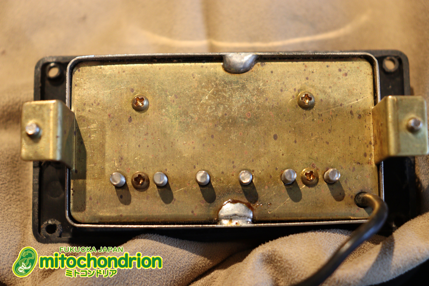 プレイヤーズコンディション、バーニーのレスポール・スタンダード、ブラック！