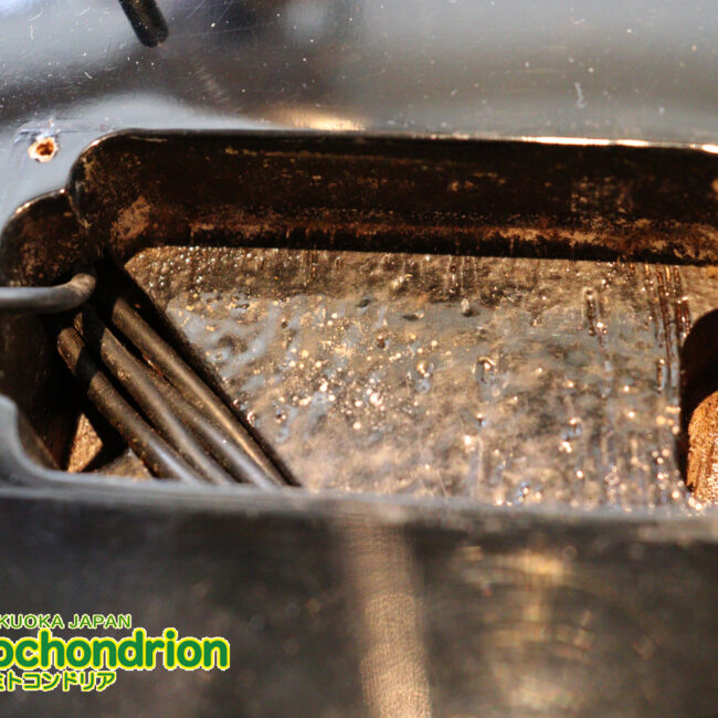 プレイヤーズコンディション、バーニーのレスポール・スタンダード、ブラック！