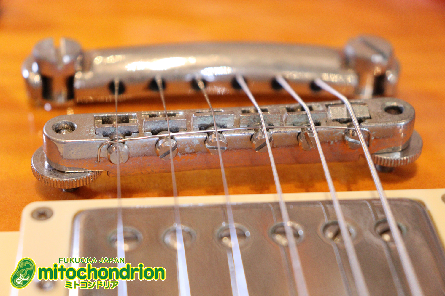 バーニーのレスポール59モデル！