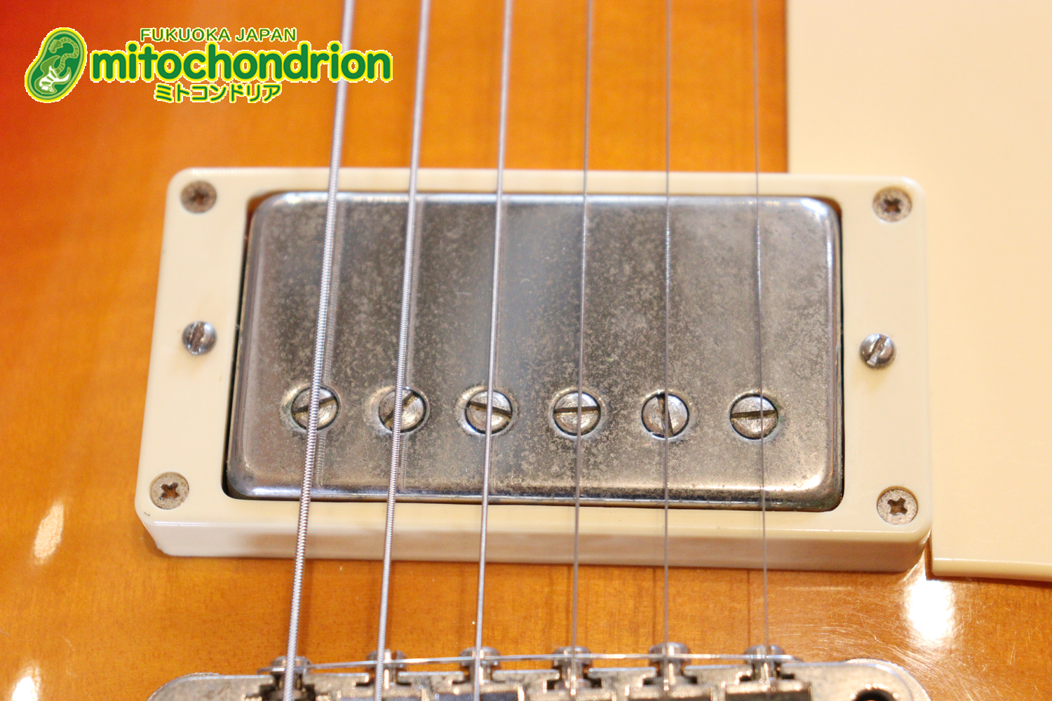 バーニーのレスポール59モデル！