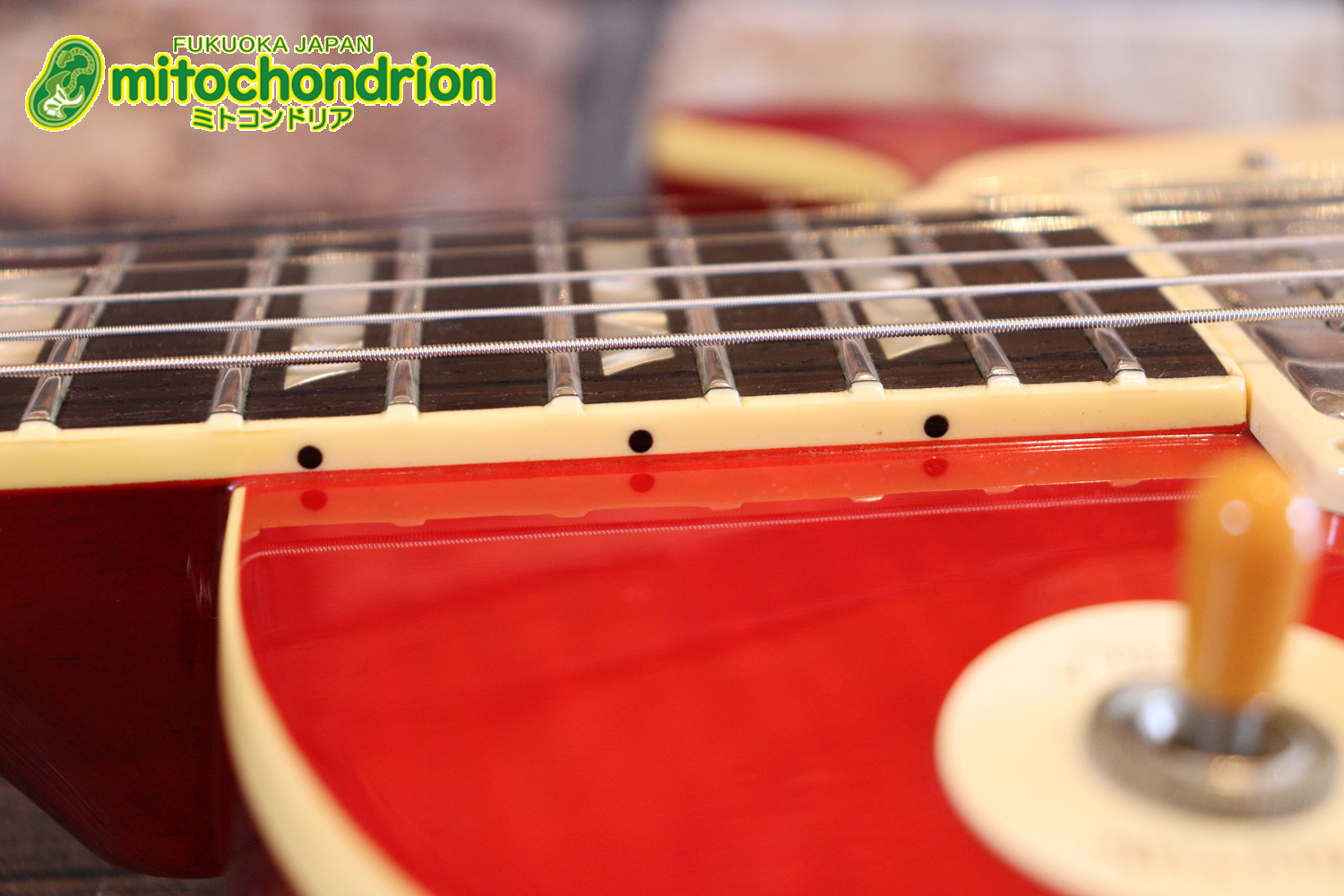 バーニーのレスポール59モデル！