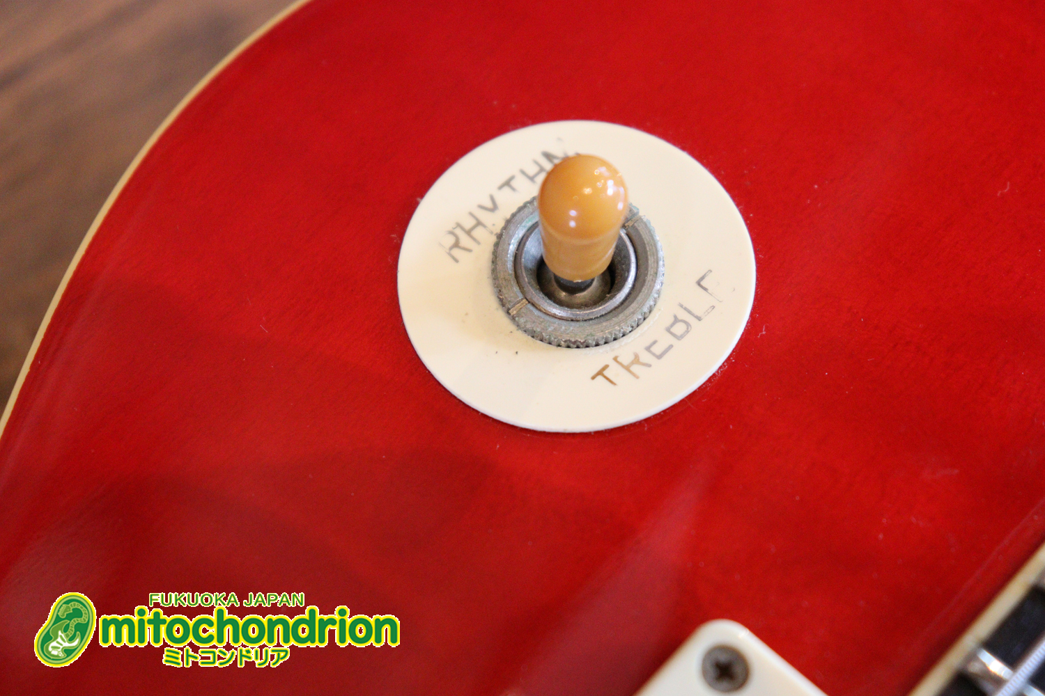 バーニーのレスポール59モデル！