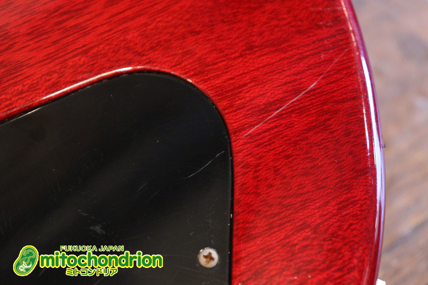 バーニーのレスポール59モデル！