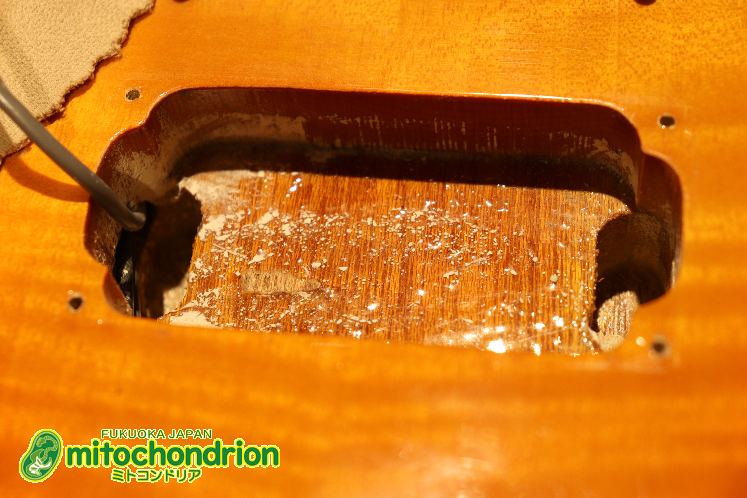 バーニーのレスポール59モデル！