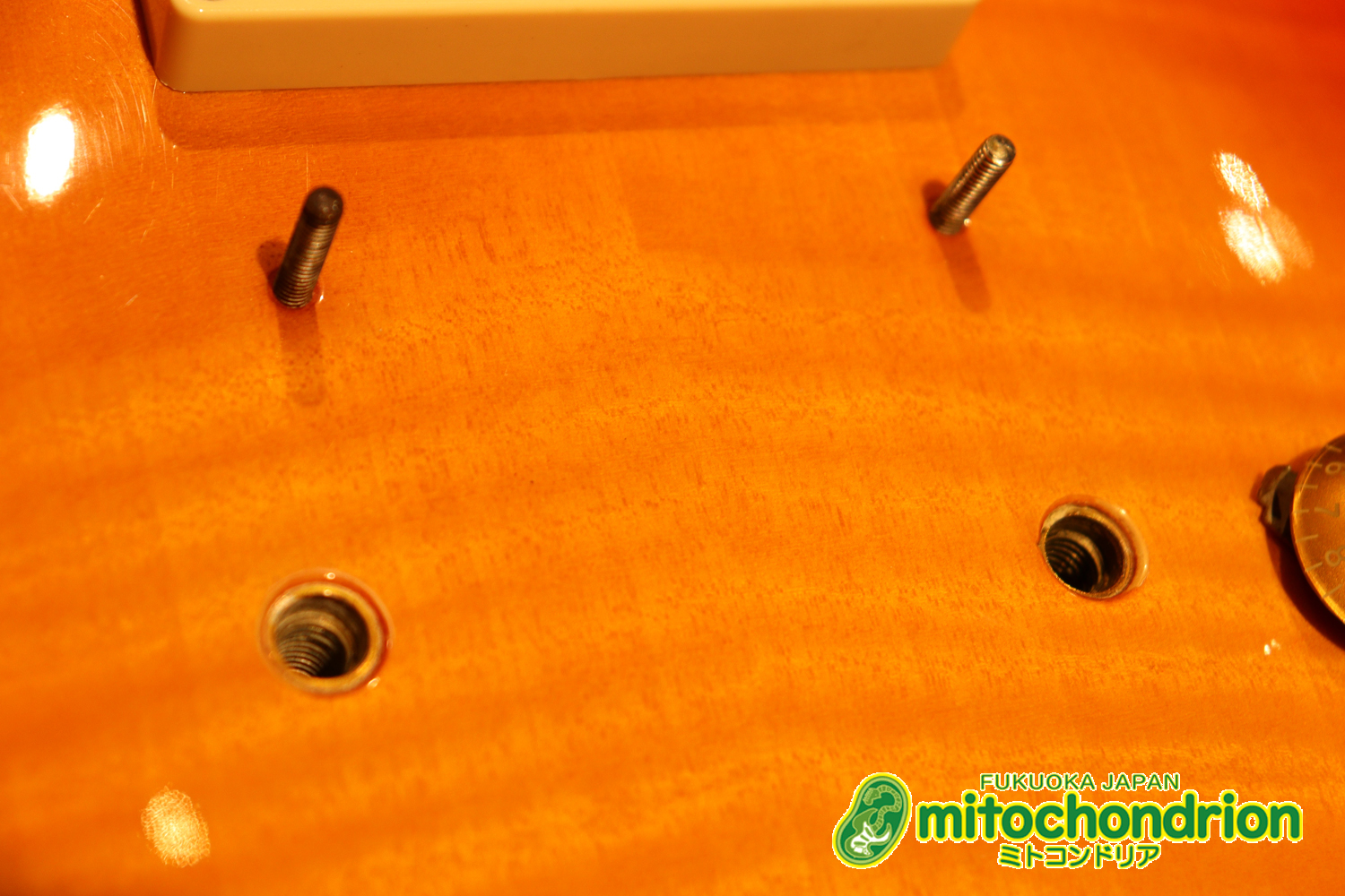 バーニーのレスポール59モデル！