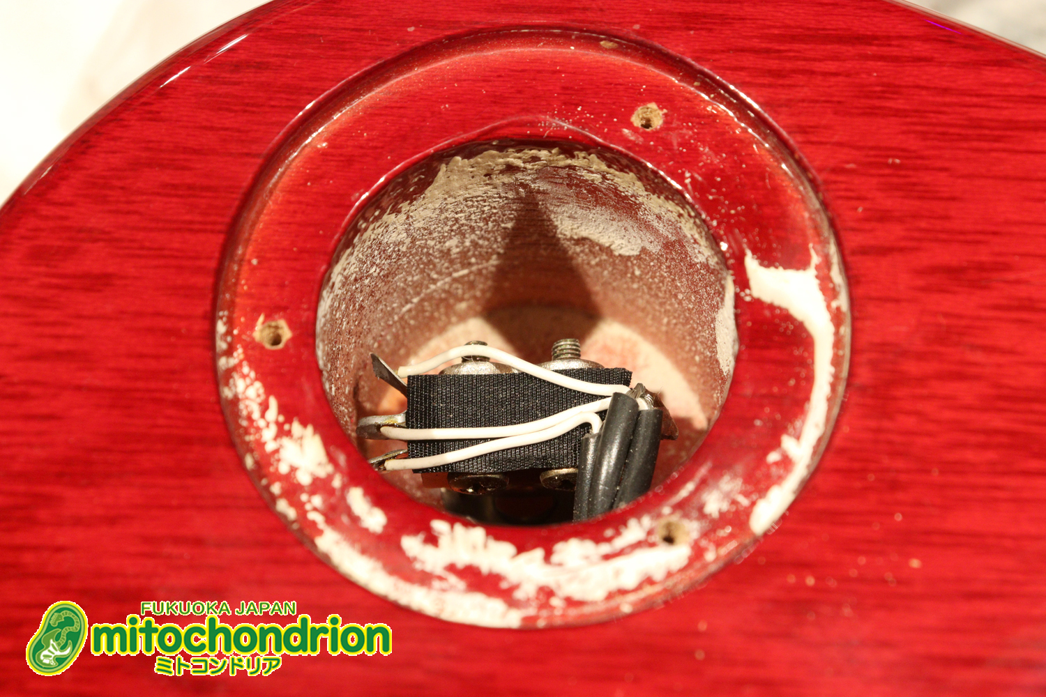 バーニーのレスポール59モデル！