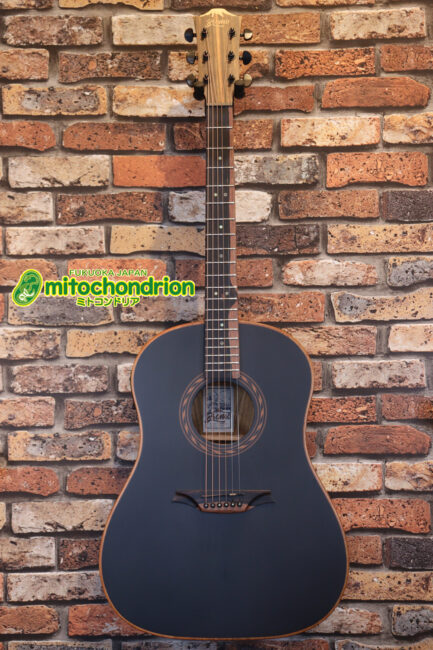 マホガニー・トップ、ウォルナット・サイドバックのエレアコで、チューナーも搭載しています！