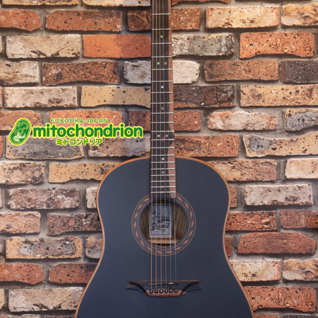 マホガニー・トップ、ウォルナット・サイドバックのエレアコで、チューナーも搭載しています！