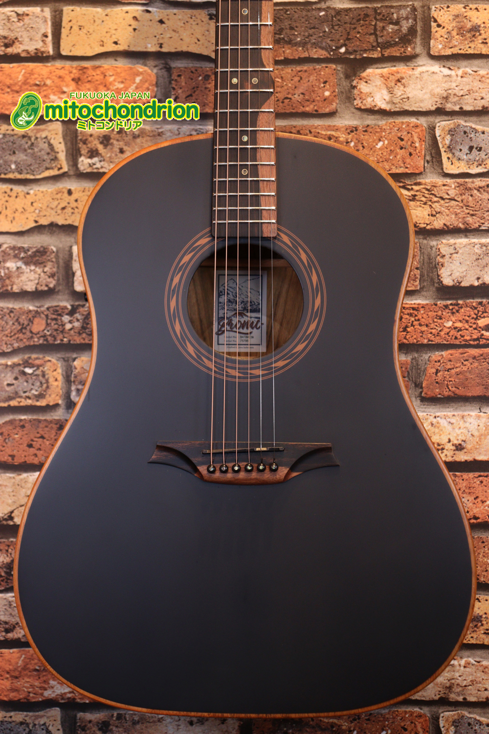 マホガニー・トップ、ウォルナット・サイドバックのエレアコで、チューナーも搭載しています！