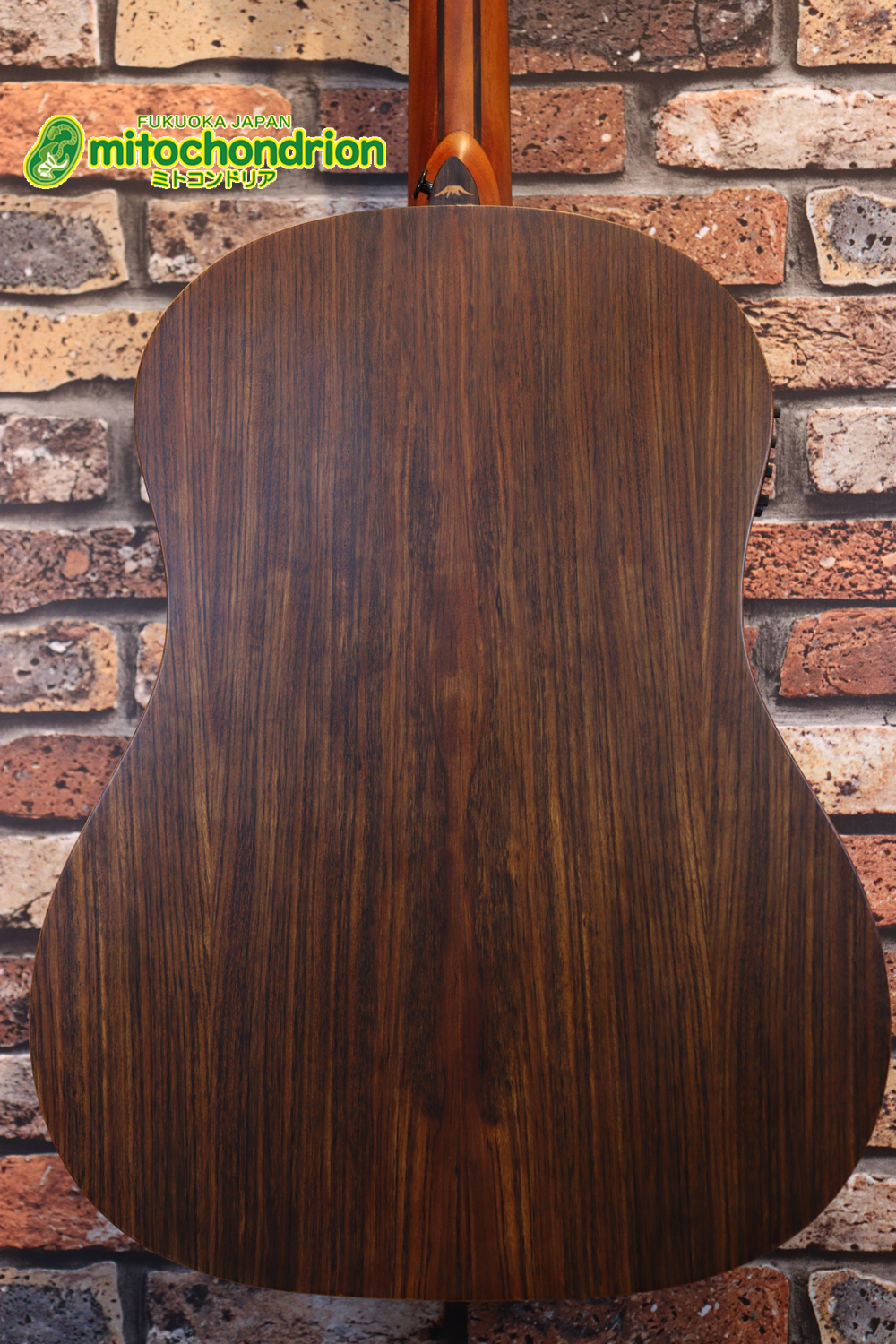 マホガニー・トップ、ウォルナット・サイドバックのエレアコで、チューナーも搭載しています！