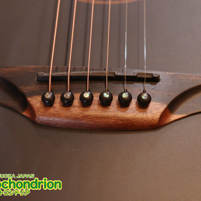 マホガニー・トップ、ウォルナット・サイドバックのエレアコで、チューナーも搭載しています！