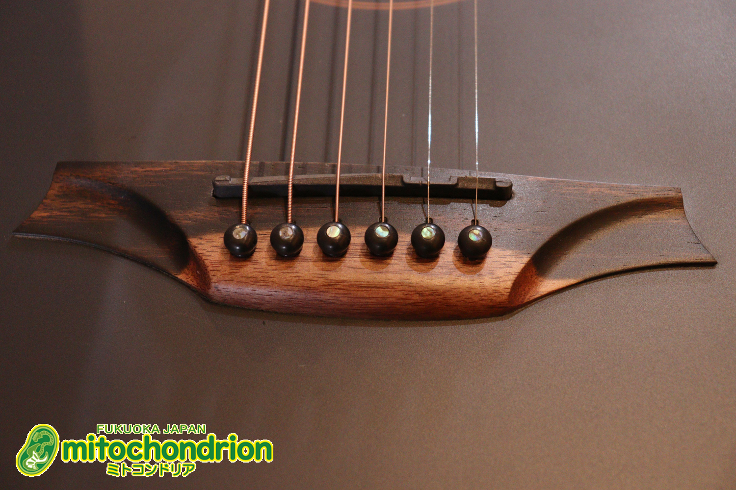 マホガニー・トップ、ウォルナット・サイドバックのエレアコで、チューナーも搭載しています！