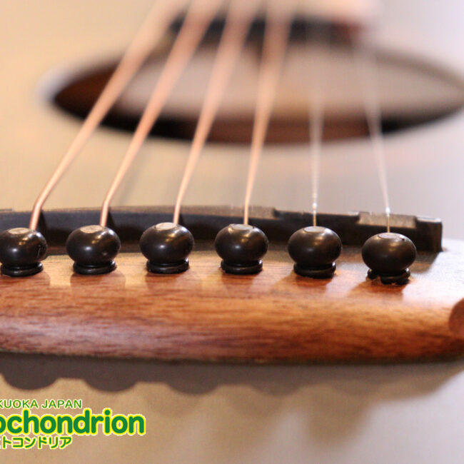 マホガニー・トップ、ウォルナット・サイドバックのエレアコで、チューナーも搭載しています！