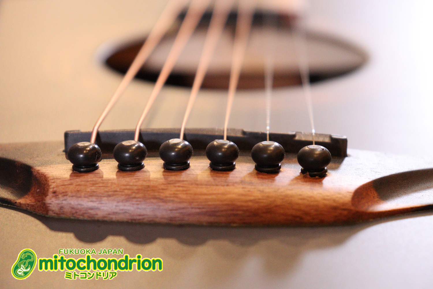 マホガニー・トップ、ウォルナット・サイドバックのエレアコで、チューナーも搭載しています！