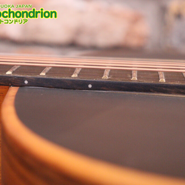 マホガニー・トップ、ウォルナット・サイドバックのエレアコで、チューナーも搭載しています！