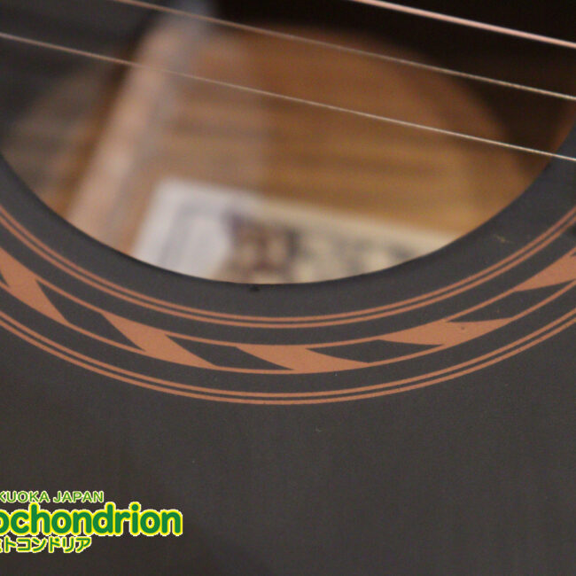 マホガニー・トップ、ウォルナット・サイドバックのエレアコで、チューナーも搭載しています！