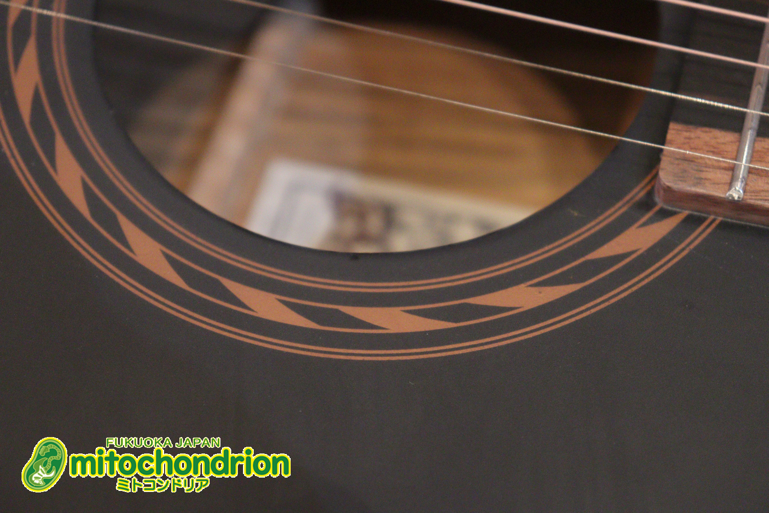 マホガニー・トップ、ウォルナット・サイドバックのエレアコで、チューナーも搭載しています！