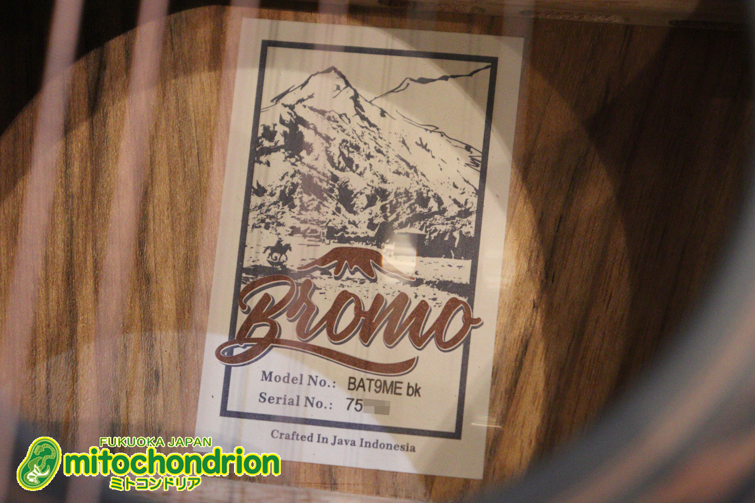 マホガニー・トップ、ウォルナット・サイドバックのエレアコで、チューナーも搭載しています！